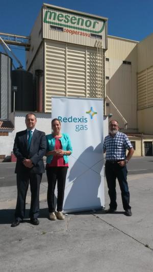 Redexis Gas comienza con la distribución de gas natural en Carbonero el Mayor