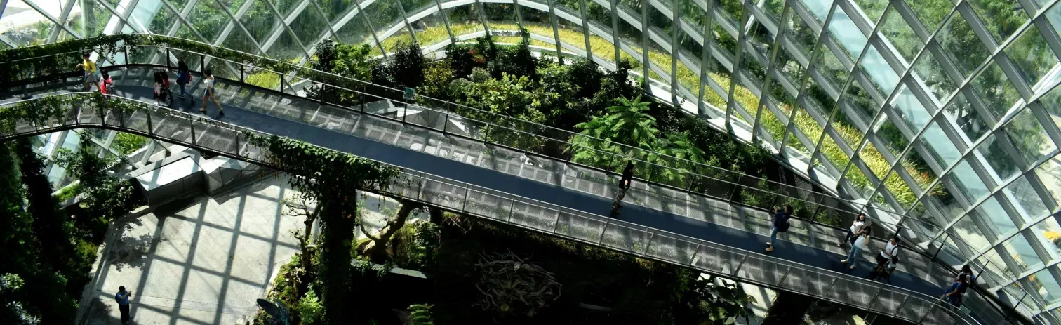 Invernadero moderno con vegetación y pasarelas, ejemplo de soluciones sostenibles e innovación ambiental 