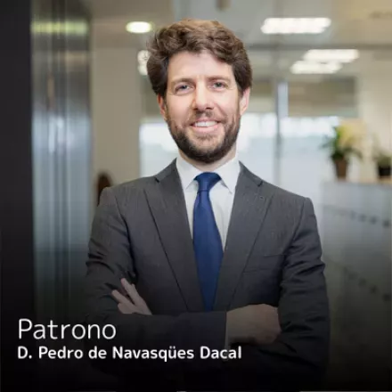 D. Pedro de Navasqües Dacal - Patrono
